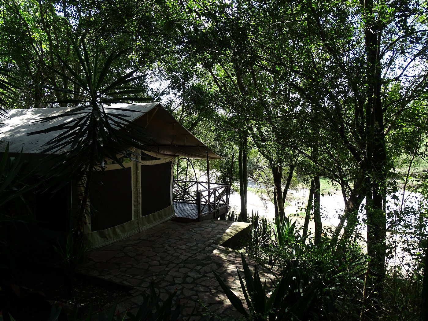 Mara Intrepids gallery 4